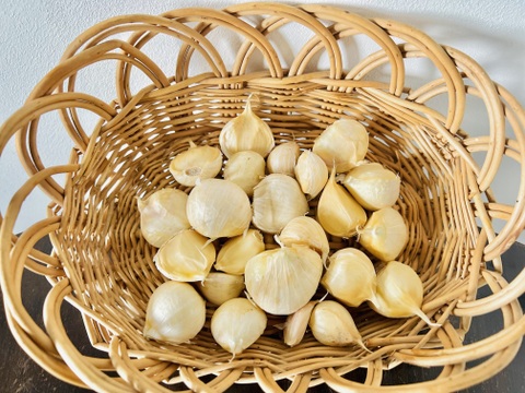 オーガニックホワイト六片 〈バラ売り〉200g🧄有機栽培🌿Organic Piece of Garlic