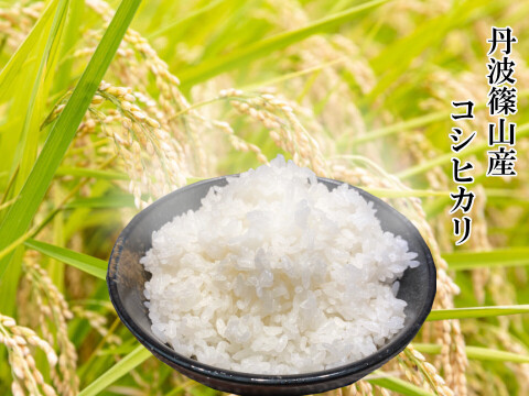 ＼期間限定先行予約・農家直送！／ 丹波篠山の秋のごちそうセット【令和7年新米】（新米2kg＋黒枝豆500g）【数量限定】お米と黒枝豆セット ご家族で 贈り物に お得なセット 売切れ次第終了