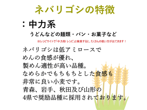 【栽培期間中農薬不散布】中力粉 2kg 青森県産単一品100％使用 日本の小麦「ネバリゴシ」