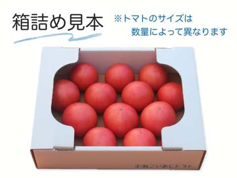 普通なんて呼ばせない！旨みたっぷり大玉トマト 2kg