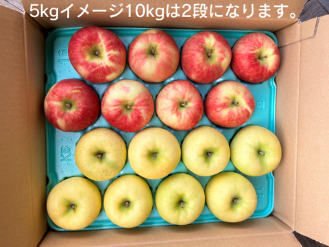 【冬ギフト】今が旬のりんご2種類食べ比べセットたっぷり10kg 贈答用にもおすすめのキズなし良品りんご🍎🍏ネオニコフリー・化学肥料不使用・低農薬で特別栽培認証取得✨おもてなしにもおすすめ😊