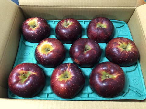 次は来年です🍎【色も濃い味も濃い】秋映3キロ箱6玉〜15玉サイズ 商品ID42530 りんご3兄弟 9月 10月 長野県 信州 安曇野 リンゴ 幻 幻のリンゴ 予約 希少 旬