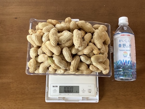【ジャンボ生落花生】おおまさり　神奈川県秦野産1kg
