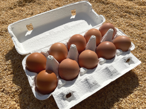 卵農家が１つ１つ手作りで製造！二年生卵のシフォンケーキ(１ホール)