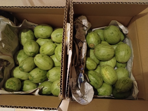 『季節限定』地元で大人気❣️摘果メロン《子メロン》(2kg✖️2箱)