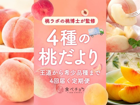 【200セット限定販売】4種の桃だより（食べチョク公式）