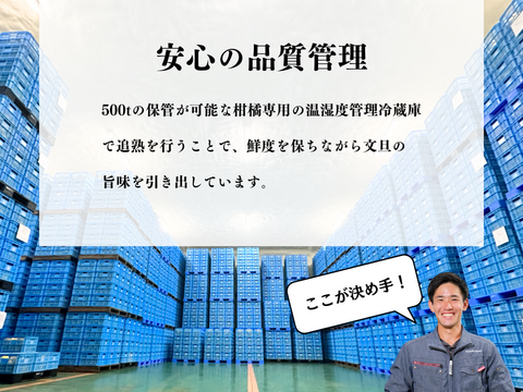 【訳あり10kg】土佐文旦！傷があっても味は一級品！