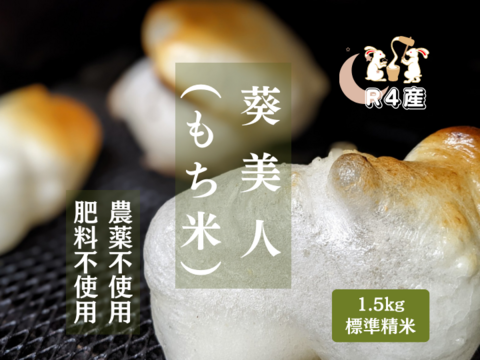 R4:葵美人（もち米）精米1.5kg（自然栽培）：静岡県産の米｜食べチョク