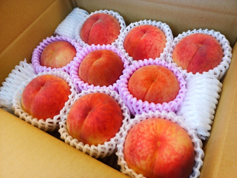 【贈答用】品種おまかせ　小箱6〜10玉（約２kg）【ギフト・贈答用に】7月30日頃〜8月15日頃まで販売