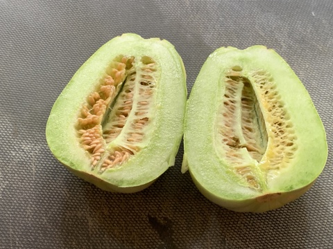 【自然栽培】固定種 みずほニューメロン＋網干メロン 4kg以上★農薬・肥料不使用