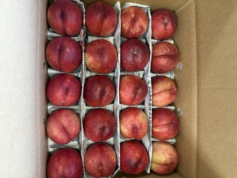 終盤❗️ネクもも🍑ハネージュ🍑3キロ箱　規格外　訳あり