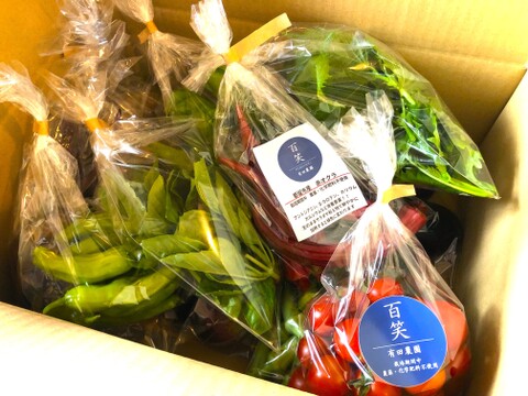 (単身者向け)未来へつなぐ 固定種・在来種 自然栽培野菜セット60サイズ　農薬不使用　有機肥料含む全ての肥料不使用