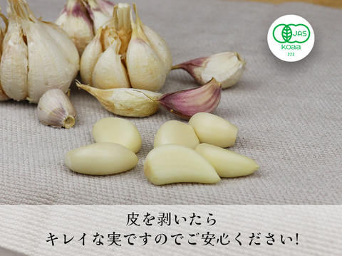 【宮崎県産】 令和６年度産新有機にんにく王（無選別１㎏入)