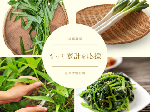 新鮮でおいしい食費節約ネギS～２L（2.5㎏）エンサイ(200ｇ×２）