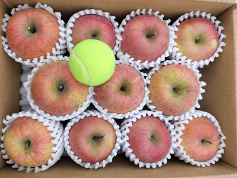 豊作還元セール！！家庭用サンふじ　約3kg