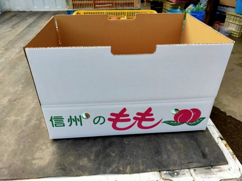 【お中元】【夏ギフト】【収穫当日発送】長野県産『あかつき』5kg（11～16玉）