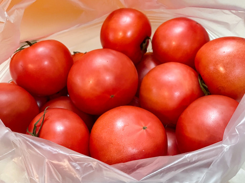 【旨トマト3kg】お買い得☆ジューシーで旨味あるトマト！サラダや冷製トマトパスタに！