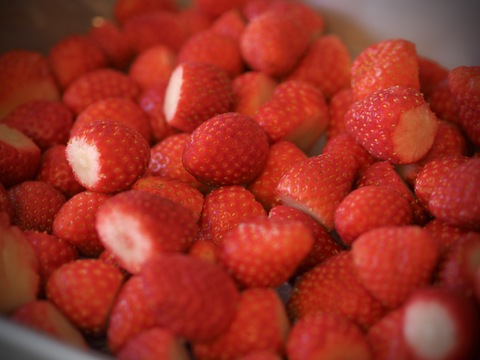 完熟！とちおとめ『冷凍イチゴ』2kg
