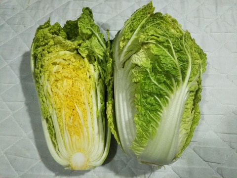 【秋の味覚　第4弾】
白菜・水菜・かぶ・さつま芋のセット品