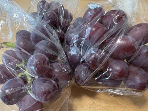 甘く美しい長野県限定品種　クイーンルージュ　800g（2～4房）　家庭用（規格外品）【日時指定不可商品】