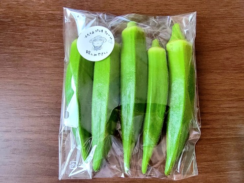 オクラ好き必見！しっかり歯応えと味わいの極太オクラ約１キロ