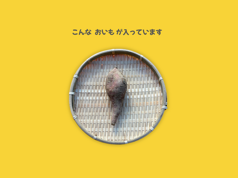 ＜訳あり・規格外＞taneco 熟成 種子島安納いも（生いも） 【Sサイズ以下・５kg】