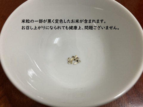 【2022産】　玄米　キヌヒカリ　(約5.0㎏≒33合)
