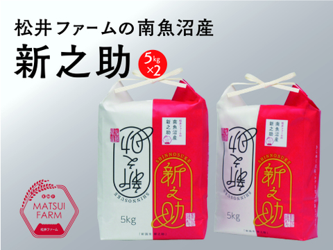 きらめく大粒！【令和7年産】松井ファームの南魚沼産新之助5kg×2袋(精米)