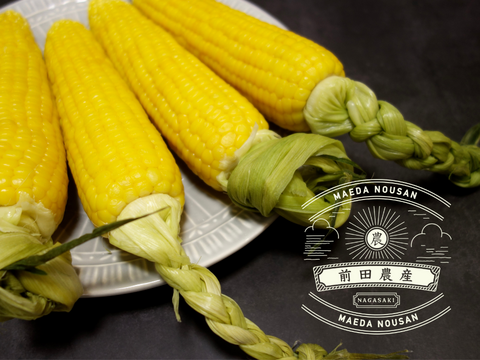 高糖度スイーツコーン５kg　島原湧水育ち　甘いとうもろこし
