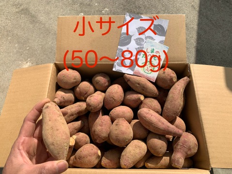 甘味あふれるオーガニック安納芋・小サイズ(かわいいミニ焼き芋に)箱込み10kg・種子島産