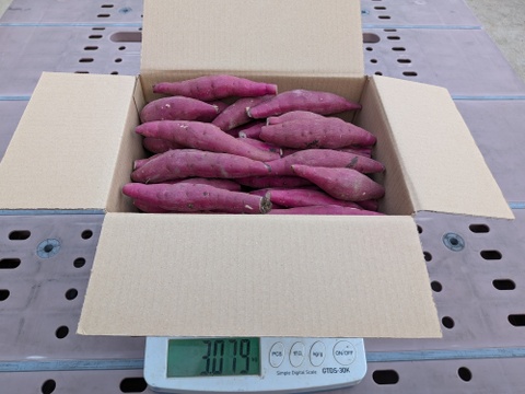 新商品期間限定お試し価格】小さい紅はるか 3kg｜食べきりミニサイズ