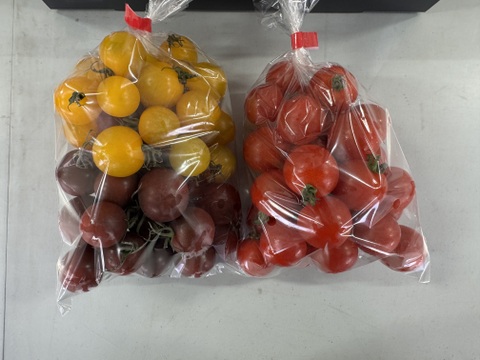 【食べ比べセット】カラフルミニトマト1Kg