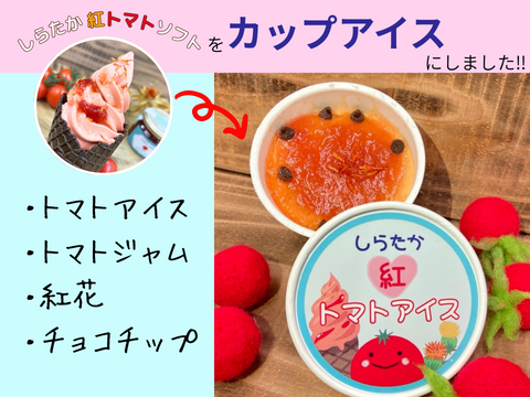特産をひとさじに♡しらたか紅トマトアイス　6個入り