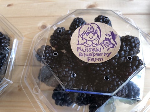 ワインのような深み！大人のブラックベリー｜収穫当日に冷凍 (1kg)
