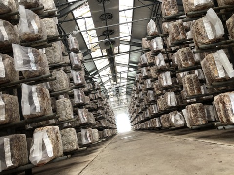 【夏ギフト】おうちご飯に♪三ツ星しいたけ夏華・至高出汁醤油・半田そうめんセット