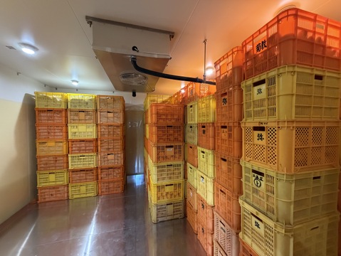 【母の日ギフト】せとか×デコ 食べ比べセット3kg｜春限定・贈って喜ばれる柑橘ギフト