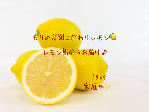 【生産量第1位】こだわりの安心完熟レモン10kg家庭用◉ワックス防腐剤不使用