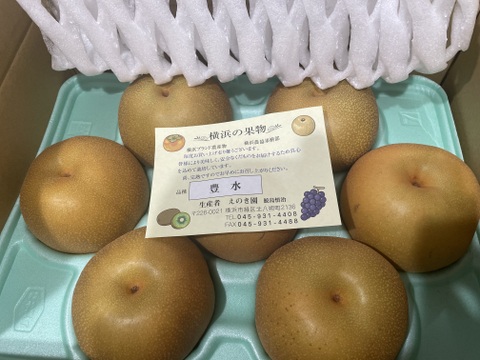 あふれる果汁幻の梨「浜なし」豊水3キロ箱５玉～８玉