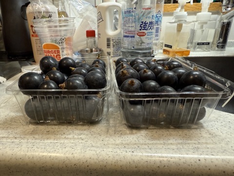 2025年【限定価格】ぶどう【ブラックビート】ご家庭用(訳あり品)粒売りパック詰め1kg 山梨県産　種なし