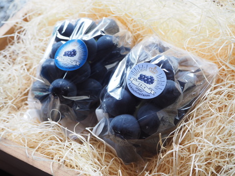 数量限定!!岡山県産『ナガノパープル＆ピオーネ』食べ比べセット