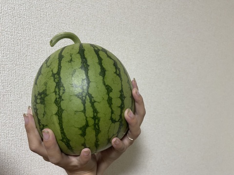 ウエヒラスイカ　小玉スイカ　ピノガール　2ｋｇ〜4ｋｇ程