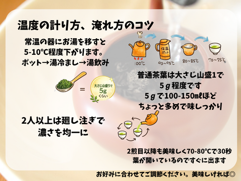 【2026年新茶】荒茶仕上げ力強いお茶の味　甘味とコクの品種　さえみどり　70ｇ