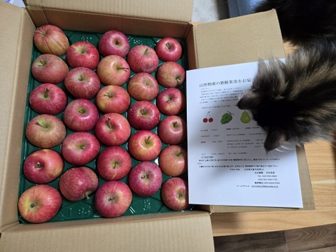 山形産　完熟　　ふじりんご　５Ｋｇ　２８玉