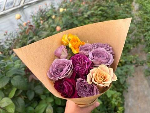 【ドライ】生花のような美しさを残したドライローズ　10本