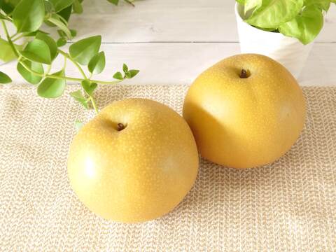 濃厚な美味しさ！果汁溢れる豊水梨  約3kg
