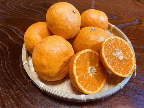 【カラマンダリン】【訳あり・加工にも】3kg箱カラマンダリン 訳あり 3kg｜そのまま食べても、絞っても、加工しても