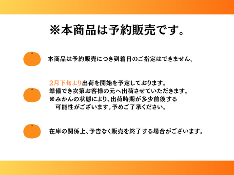 柑橘を初めてご購入の方向け！産地直送柑橘セット