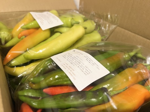 【限定5個】豊作還元セット　約3kg