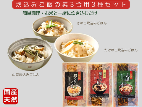 国産天然山菜 茸・筍・山菜炊き込みご飯の素各1袋 3合用