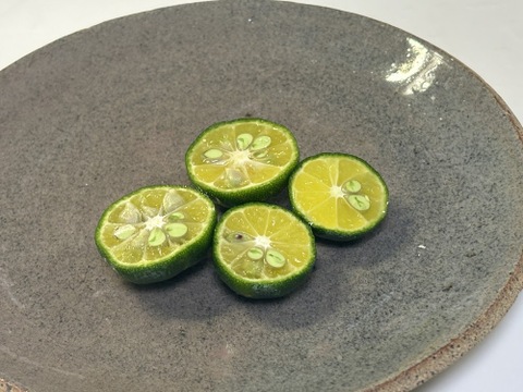 爽やかな酸味！採れたて【シークワーサー】500ｇ